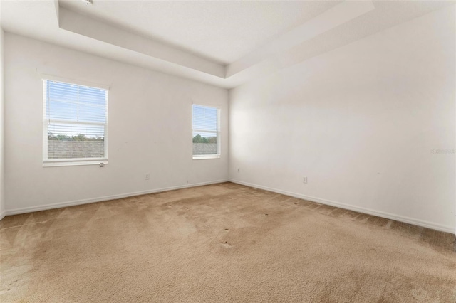 carpeted spare room with a raised ceiling and plenty of natural light