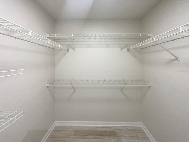 spacious closet featuring hardwood / wood-style flooring