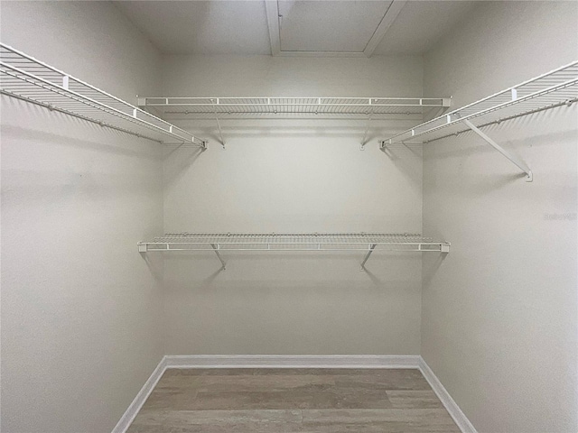 spacious closet featuring wood-type flooring