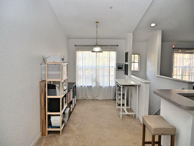 interior space featuring light carpet and a healthy amount of sunlight