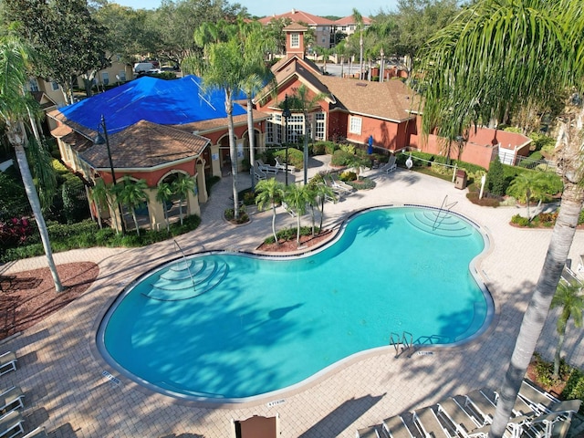 view of pool featuring a patio