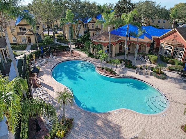 view of swimming pool featuring a patio