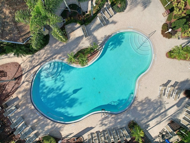 view of swimming pool