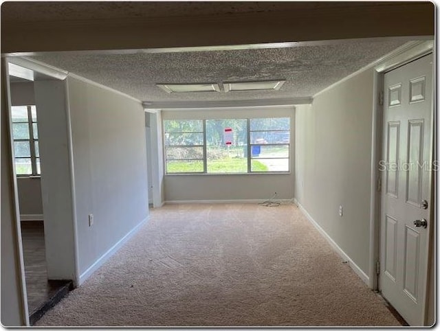 spare room featuring carpet and a textured ceiling