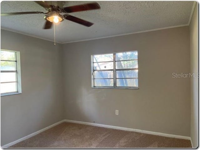 carpeted empty room featuring plenty of natural light and a textured ceiling