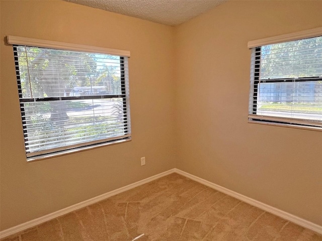 carpeted empty room with a textured ceiling and a healthy amount of sunlight