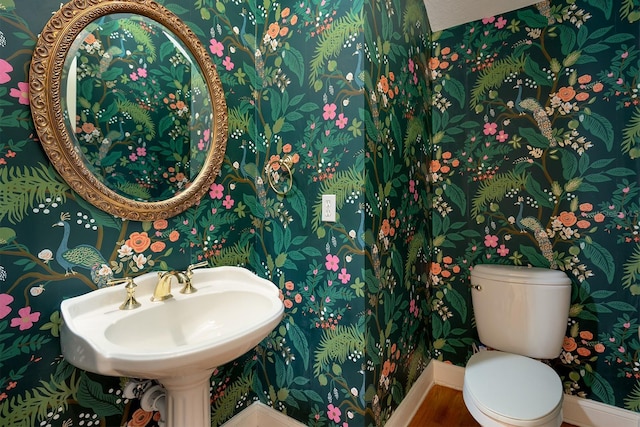 bathroom with hardwood / wood-style flooring and toilet