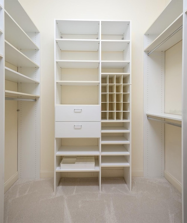 walk in closet featuring carpet floors