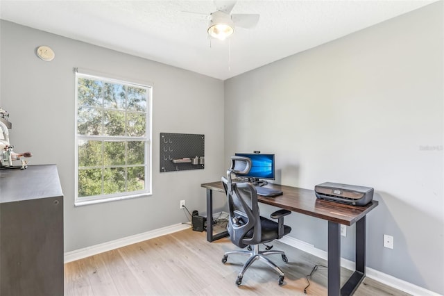 office space with ceiling fan and light hardwood / wood-style floors