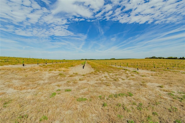 view of nature featuring a rural view