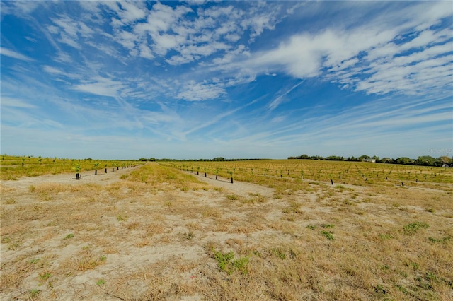 view of nature with a rural view