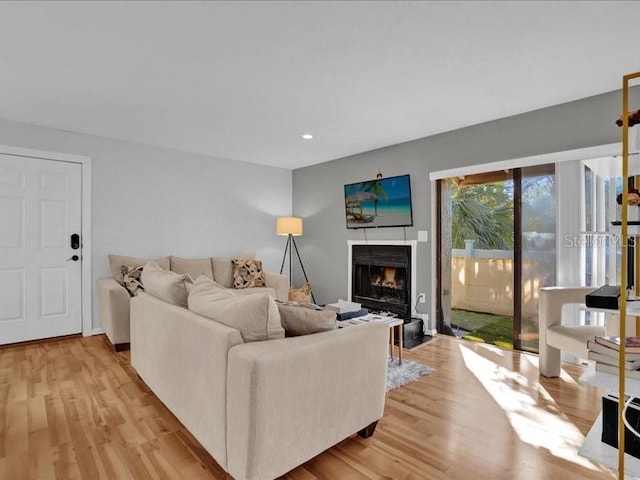 living room featuring light hardwood / wood-style floors