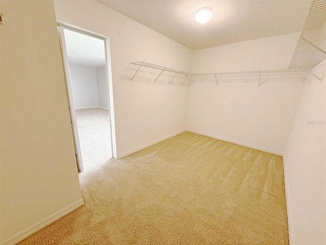 1208 Sawgrass Pointe Dr, Orlando, FL 32824 - spacious closet featuring carpet floors