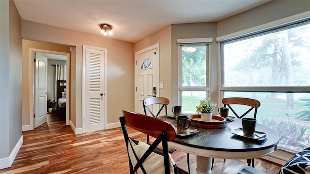 dining space with hardwood / wood-style flooring and a wealth of natural light