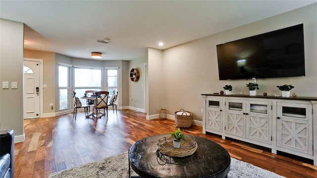 living room with hardwood / wood-style flooring