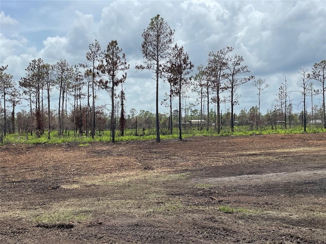 E H St, Frostproof FL, 33843 land for sale