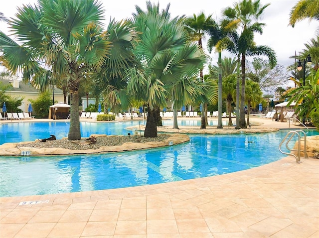 view of pool featuring a patio area