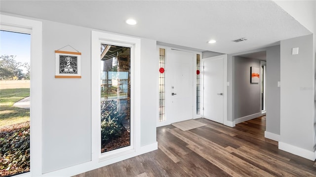 foyer entrance featuring dark hardwood / wood-style floors