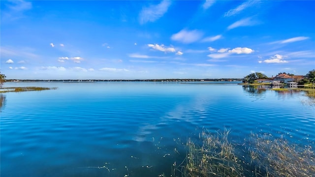 647 Ridgewood Dr, Windermere, FL 34786 - photo 23