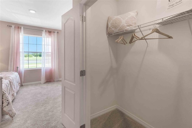 walk in closet featuring carpet flooring