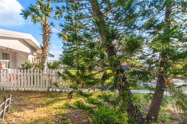 2695 S E Ave, Sarasota, FL 34239 - view of yard
