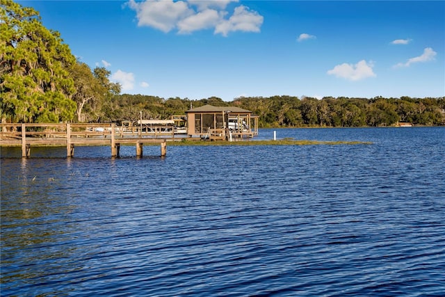 view of water feature with a dock