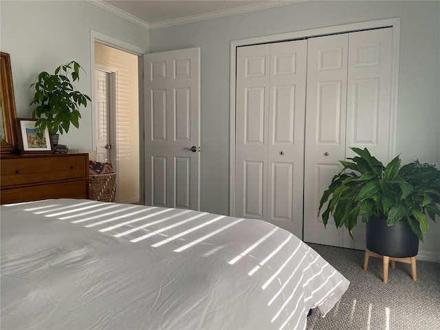 bedroom featuring carpet floors, a closet, and crown molding