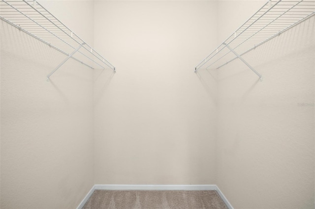 walk in closet with carpet