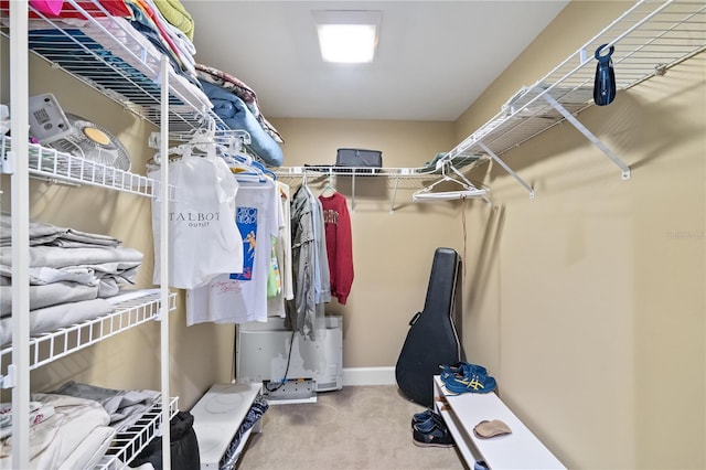 spacious closet featuring carpet