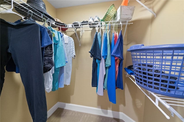 view of spacious closet