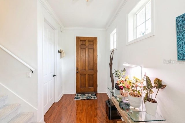 entrance foyer with hardwood / wood-style flooring and ornamental molding