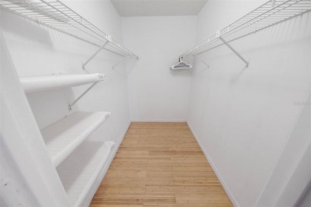 spacious closet featuring wood-type flooring