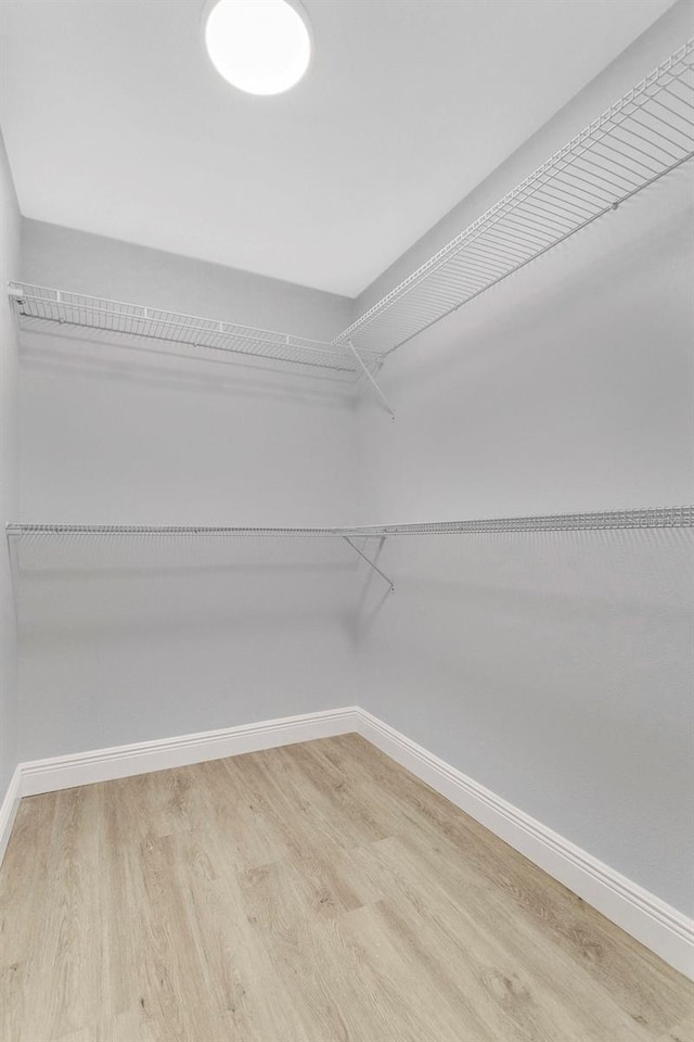 spacious closet featuring light wood-type flooring