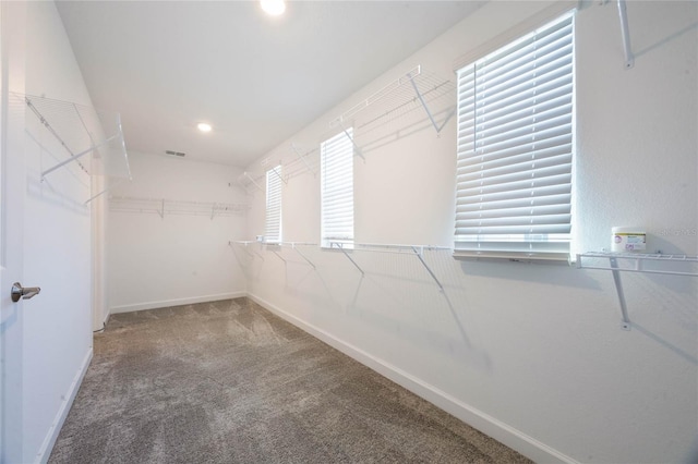 spacious closet featuring carpet flooring