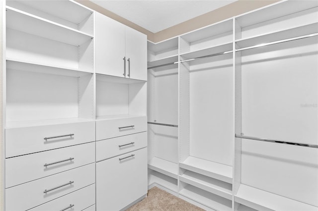 spacious closet featuring light carpet