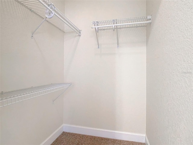 walk in closet with carpet flooring