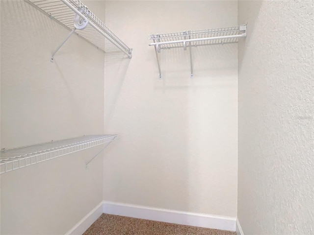 1300 Gilford Point Ln Unit 1300, Davenport, FL 33896 - walk in closet with carpet floors