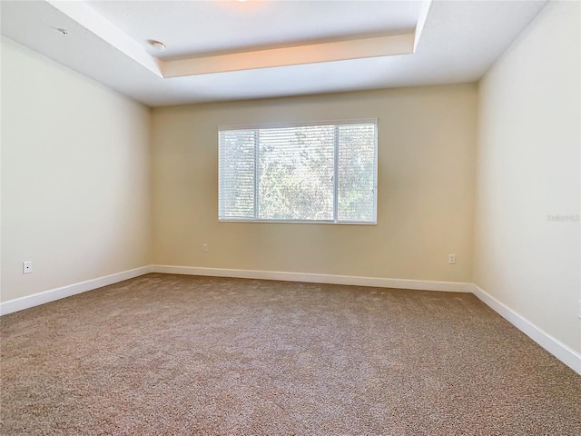 carpeted empty room with a raised ceiling