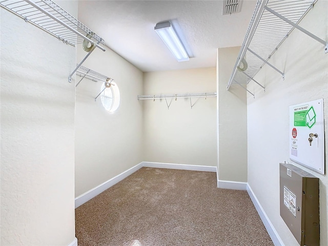 spacious closet featuring carpet floors