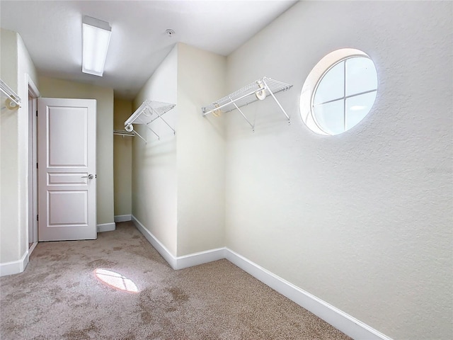 walk in closet with light colored carpet