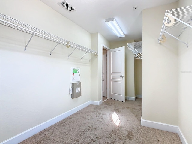 spacious closet featuring light colored carpet