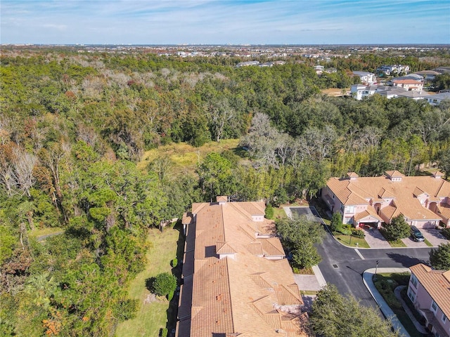 1300 Gilford Point Ln Unit 1300, Davenport, FL 33896 - aerial perspective of suburban area featuring a heavily wooded area