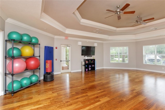 workout area with wood-type flooring, a tray ceiling, a wealth of natural light, and ornamental molding