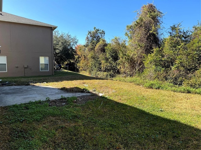 view of yard featuring a patio area