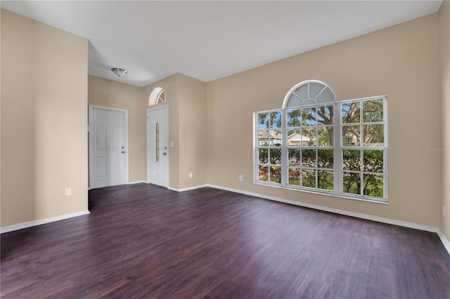 empty room featuring dark hardwood / wood-style floors