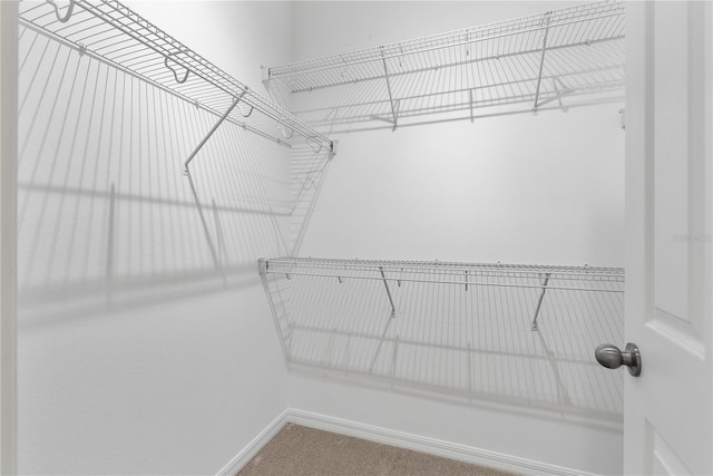 2097 Celebration Blvd, Celebration, FL 34747 - walk in closet with carpet floors