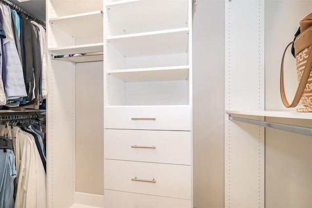 view of spacious closet