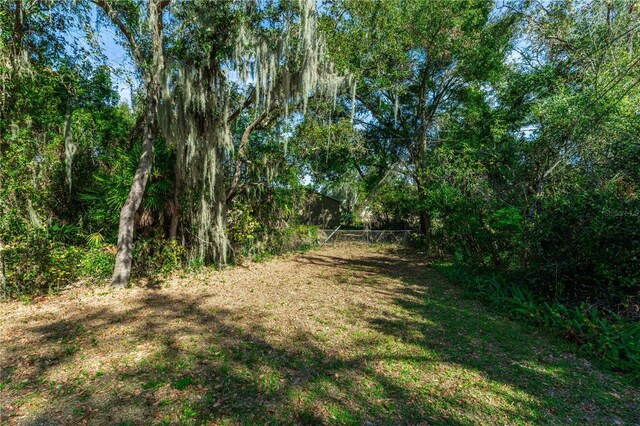 1073 Humphrey Blvd, Deltona, FL 32738 - view of undeveloped land