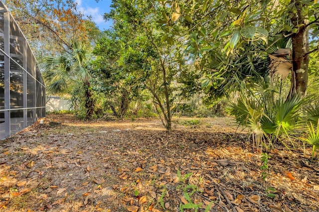 view of yard with a lanai