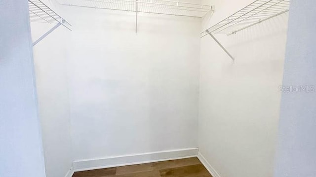 walk in closet featuring wood-type flooring